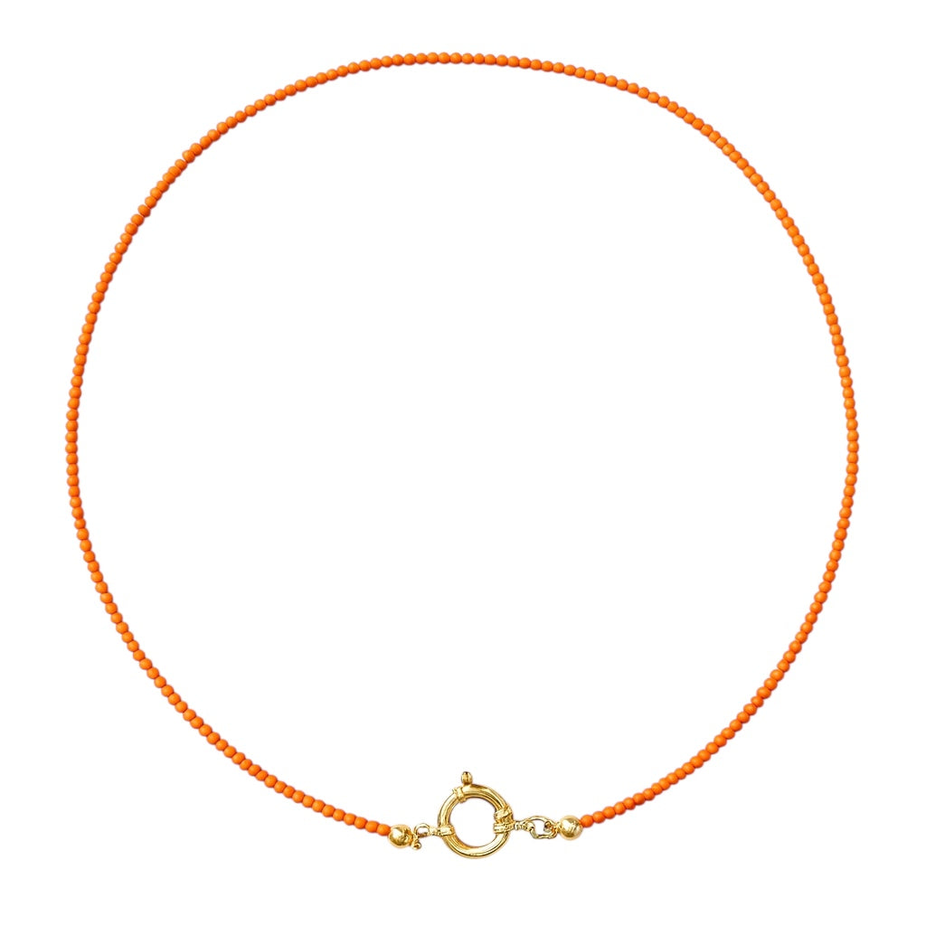 Pumpkin & Cinderella